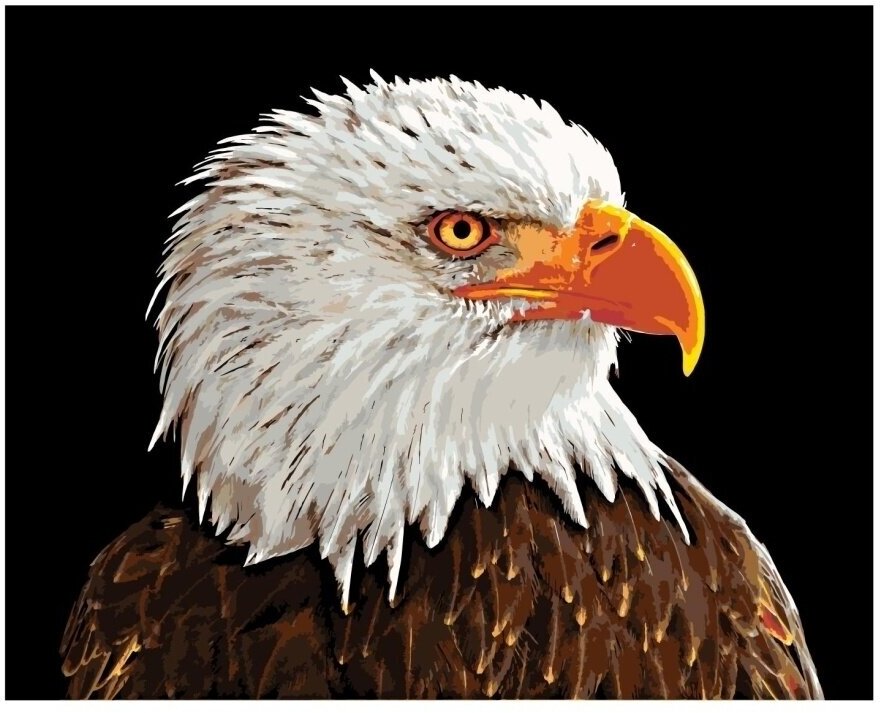 Картина по номерам Белоголовый орёл 40х50 см Hobby Home