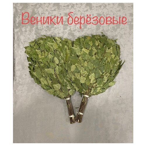 Веники для бани березовые 2 шт