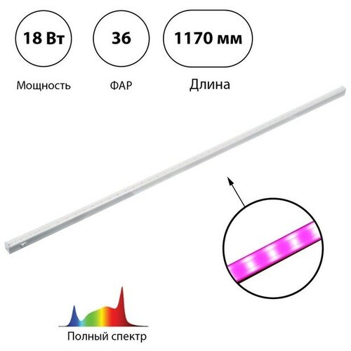 фитосветильник линейный светодиодный fito 1173 мм 18 вт t5 g5 полный спектр нейтральный белый свет Фитосветильник светодиодный, 18 Вт, 1173 мм, IP20, полный спектр, бело-красный