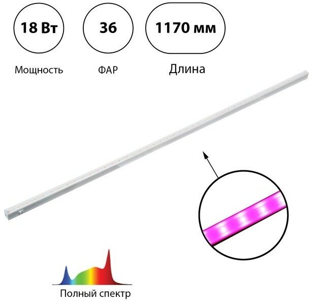 ЭРА Фитосветильник светодиодный, 18 Вт, 1170 мм, IP20, полный спектр, фиолетовый, FITO-18W-T5-Ra90, «ЭРА»