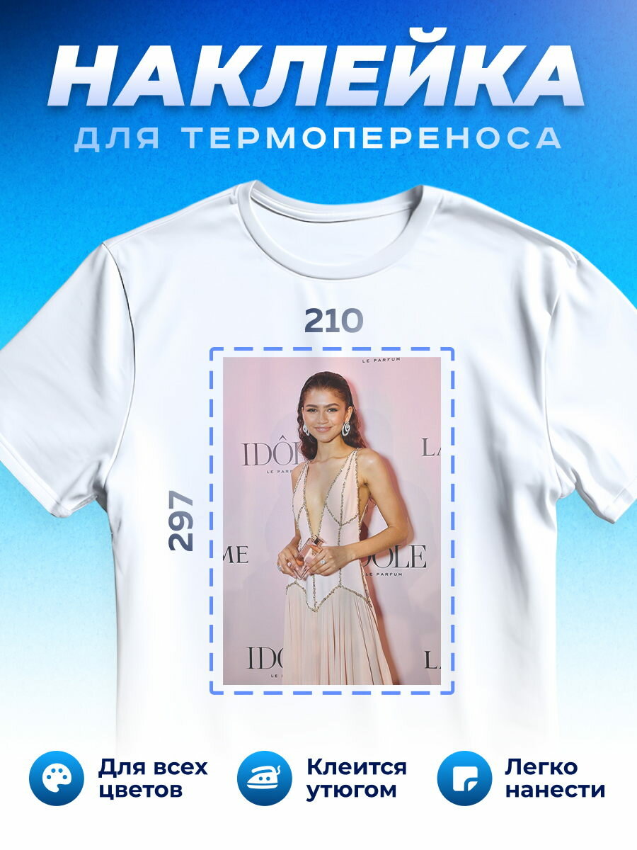 Термонаклейка для одежды наклейка Зендая_0014