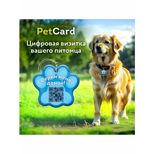 Адресник для собак и кошек PetCard с QR кодом и NFC, голубой