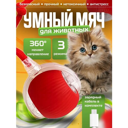Мяч для кошек и собак интерактивный