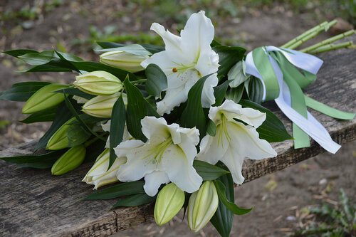 Изображение товара Букет из 5 восточных лилии