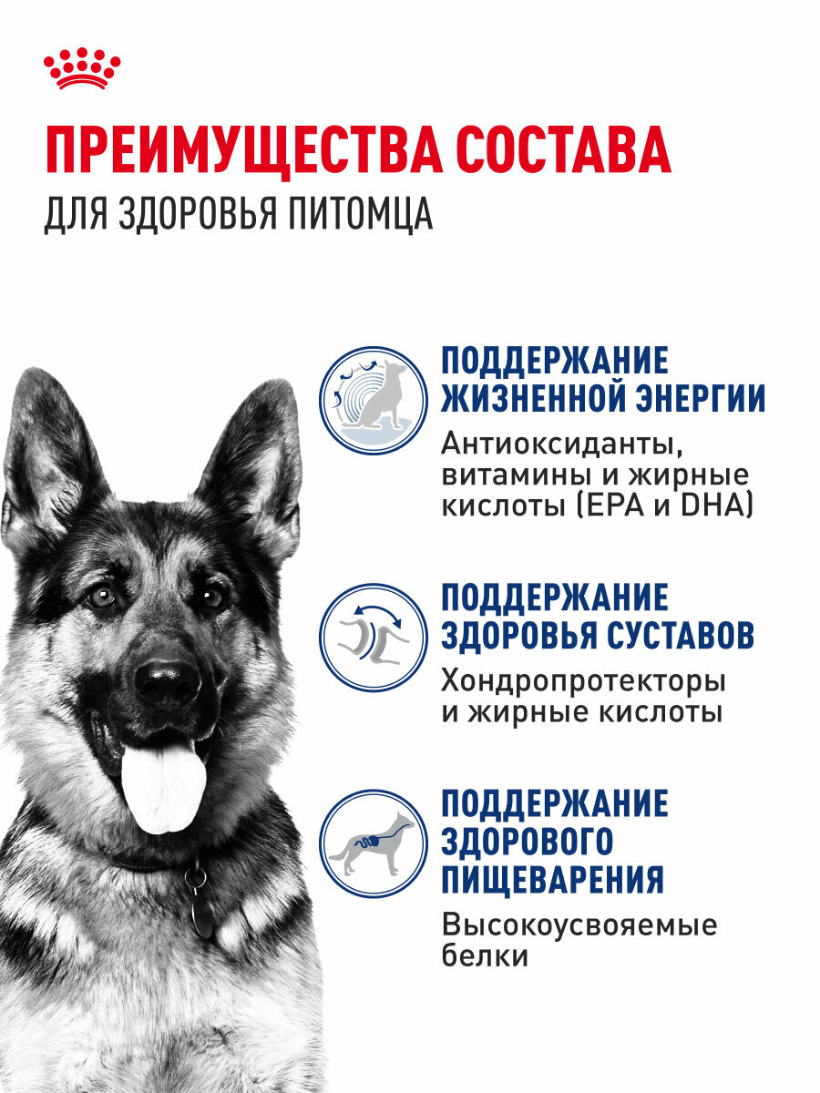 Сухой корм для собак пожилых Royal Canin Maxi Ageing 8+ для крупных пород, 15 кг — фото 1