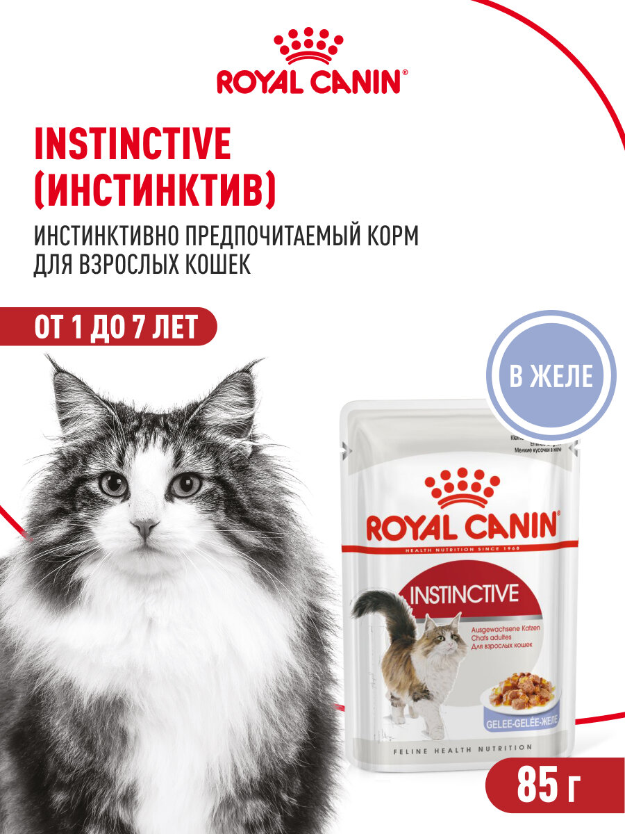 Влажный корм для кошек Royal Canin Instinctive кусочки в желе, 28 шт по 85 г — фото 1
