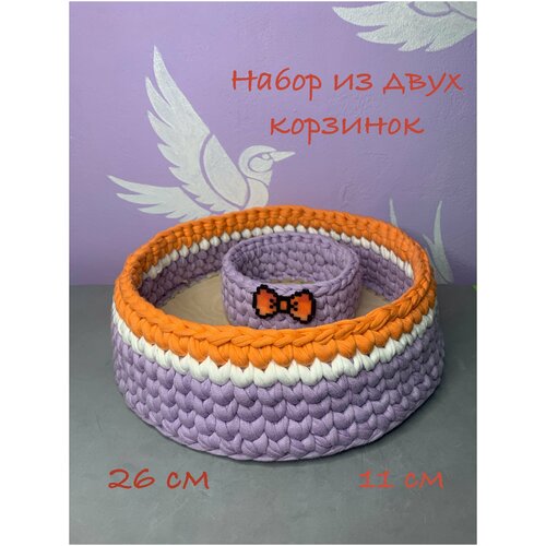 Набор из 2 корзинок для хранения мелочей