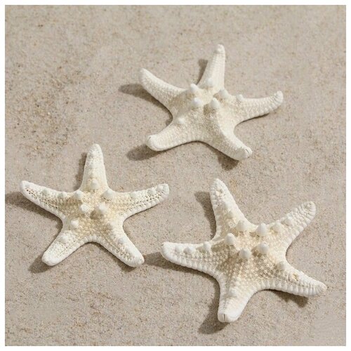 Набор из 3 морских звезд, размер каждой 5-10 см, белые, 1 набор