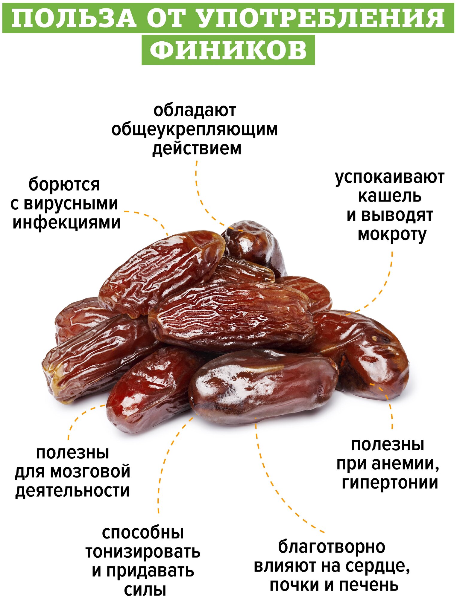 Королевский финик польза и вред