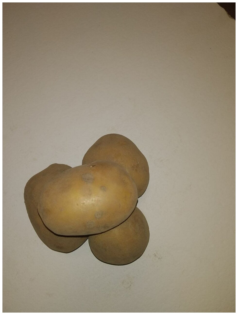 Картофель семенной бельмондо клубни 3 кг - фотография № 9