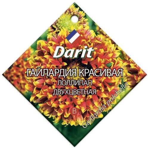 Семена Darit Гайлардия красивая Лоллипап двухцветная, 0.1 г