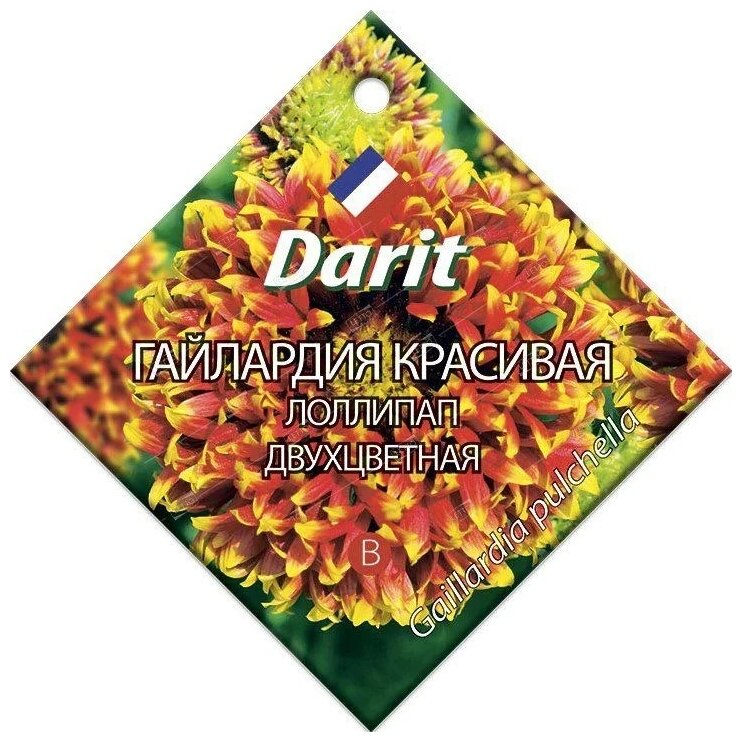 Семена Darit Гайлардия красивая Лоллипап двухцветная 0.1 г