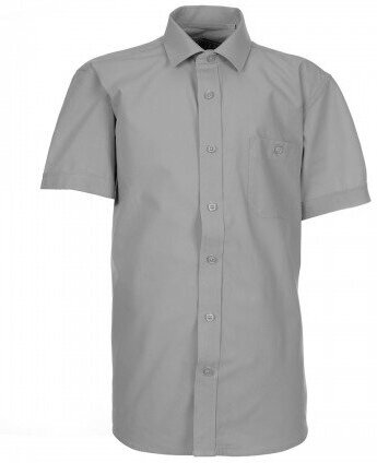 Школьная рубашка Tsarevich, прямой силуэт, на пуговицах, короткий рукав, однотонная, размер 158-164, серый