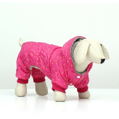 Комбинезон нежный путь на меховом подкладе размер S ДС 25 ОШ 25 ОГ 35 см розовый 1898₽