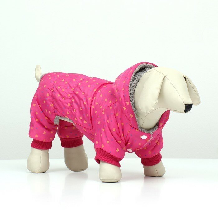 Комбинезон «Нежный путь», на меховом подкладе, размер L, ДС 35, ОШ 35, ОГ 45 см, розовый