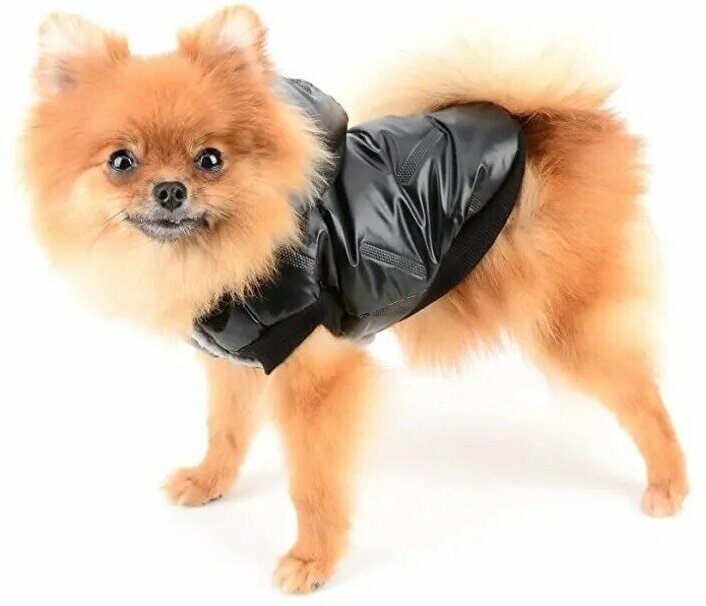 Куртка для собак мелких пород Arnydog Гланцевое лого черная M(25 см) - фотография № 3
