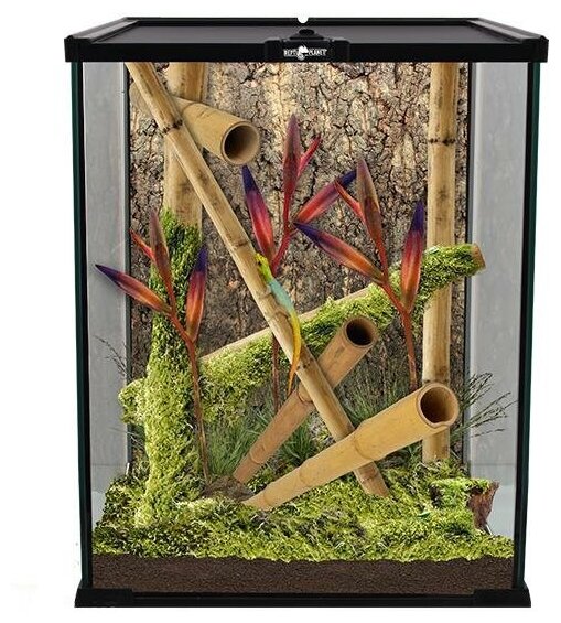 Террариум Repti Planet Glass Terrarium, 20×20×30 см - фотография № 3