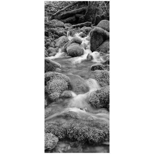 Самоклеящиеся фотообои Лесной ручей, размер: 90x210 см, эффект: черно-белый, отраженный