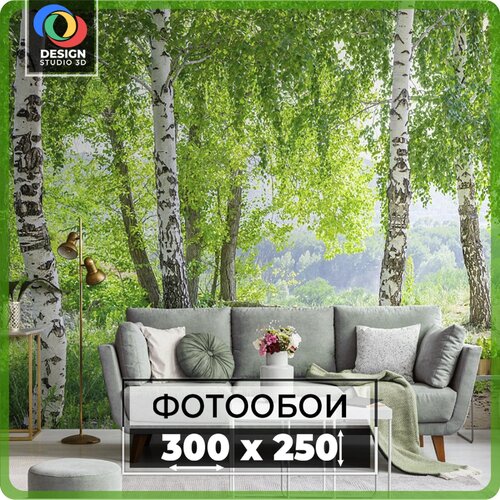 Фотообои 3D на стену флизелиновые Design Studio 3D, размер 300х250