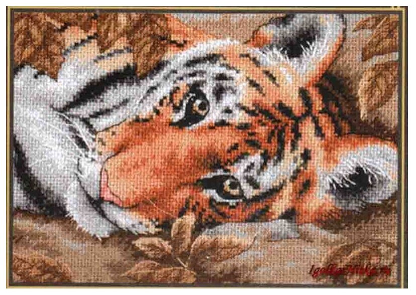 65056-DMS Притягательный тигр Dimensions - фото №1
