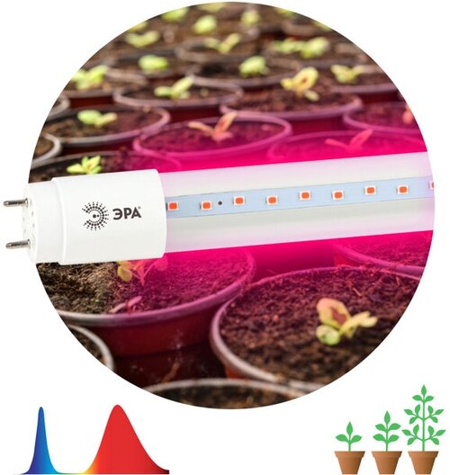Лампа светодиодная для растений фито ЭРА T8 18Вт G13 1200мм красно-синий спектр