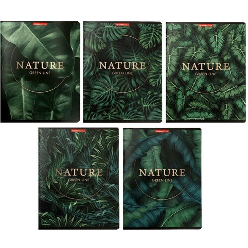 Тетрадь 96 листов в линию 