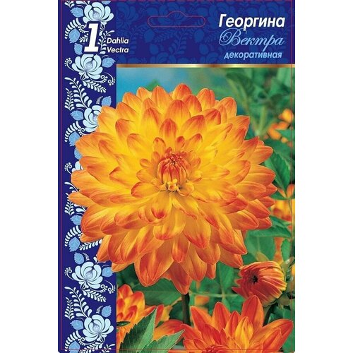Георгина Вектра I 1 шт