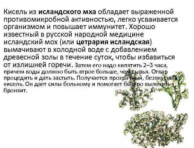 Картинки Исландский мох цетрария трава от кашля, 200гр.
