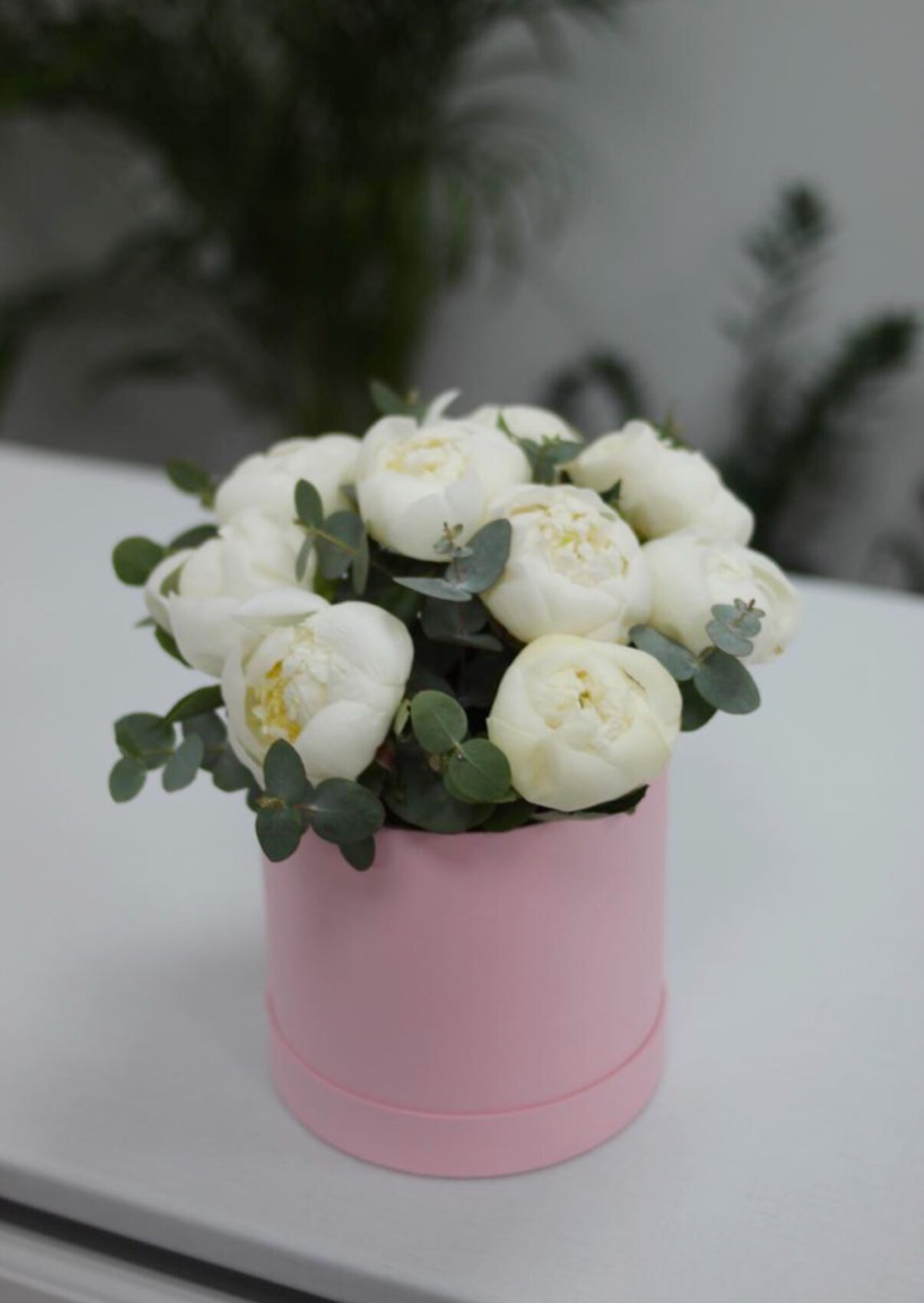 9 пионов в коробке