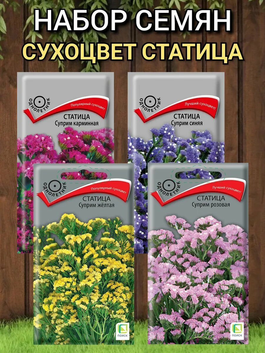 Семена цветов для сада Поиск Статица Суприм: карминная синяя желтая розовая