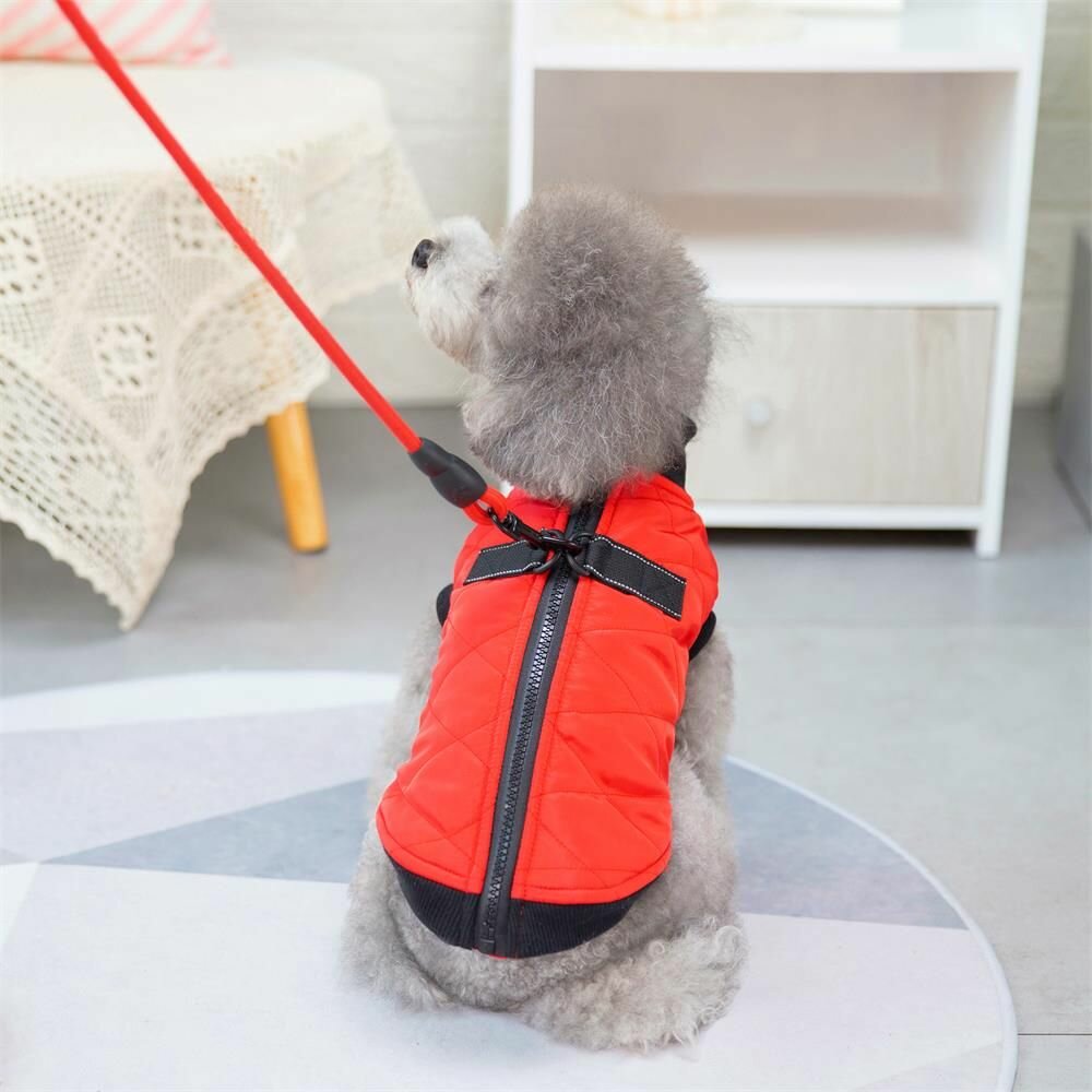 Зимняя хлопковая куртка для маленьких собак