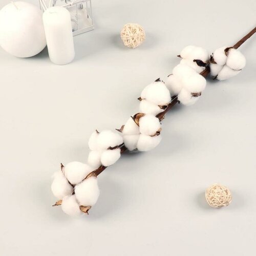 Декор сухоцвет 