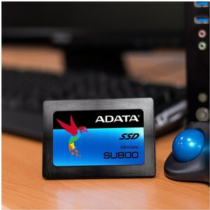 Adata su800 deals 512gb