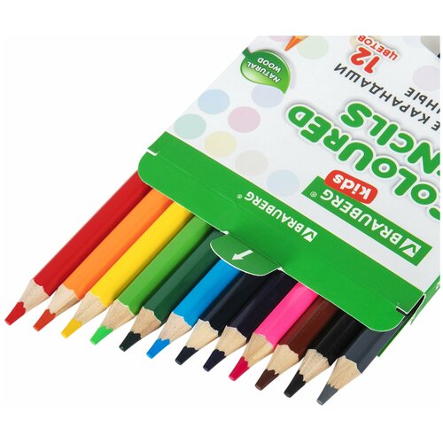 Упаковка 3 шт Карандаши цветные утолщенные BRAUBERG KIDS 12 цветов шестигранные грифель 5 мм натуральное дерево 181878 1275₽