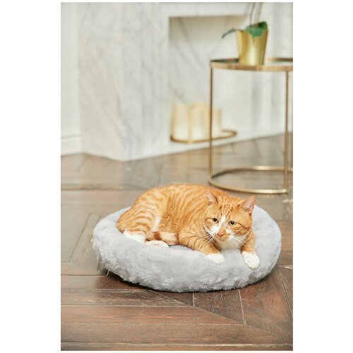 Подушка для кошек и собак бриси, 45х45 см женская футболка с принтом кошки кошки котенка кошки