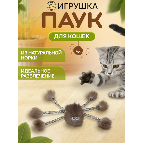 Игрушка для котов и кошек Roksy-hall Паук из норки, Коричневый