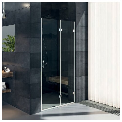 Душевая дверь в нишу Artemis Ares 80 см, хром