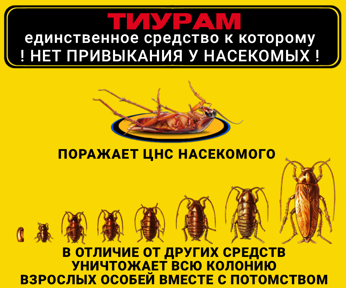Средство от тараканов, Тиурам 150г, Самое мощное средство от тараканов в квартире, от муравьев, отрава для мышей, кабельный порошок.