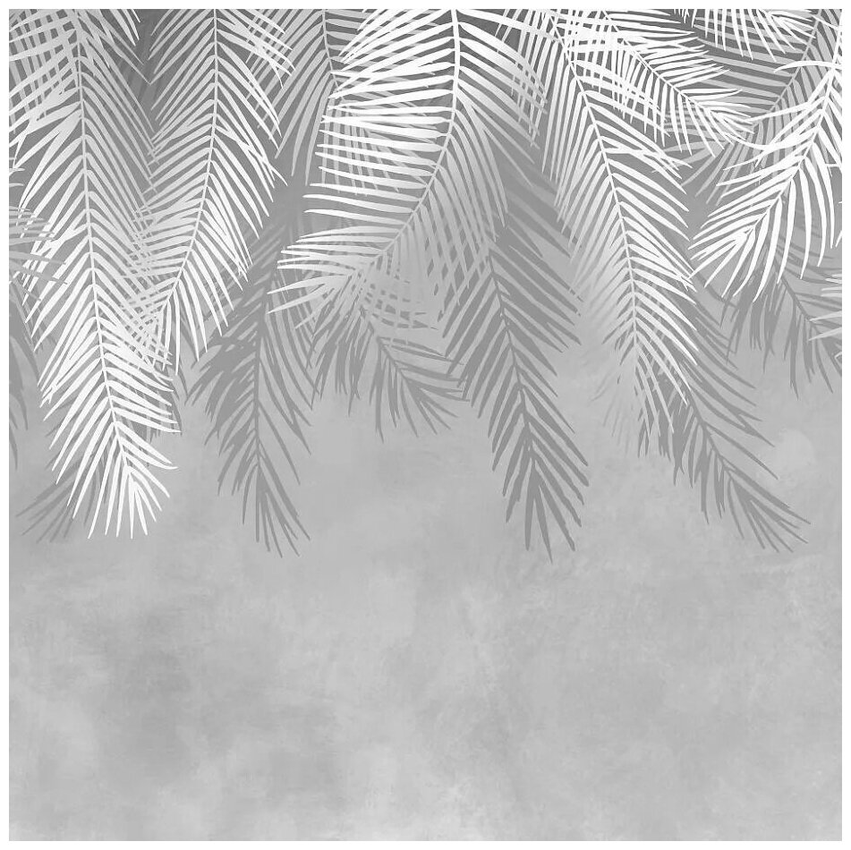 Фотообои на стену флизелиновые "Пальмовые листья серые" 270X270 см (ШXВ)