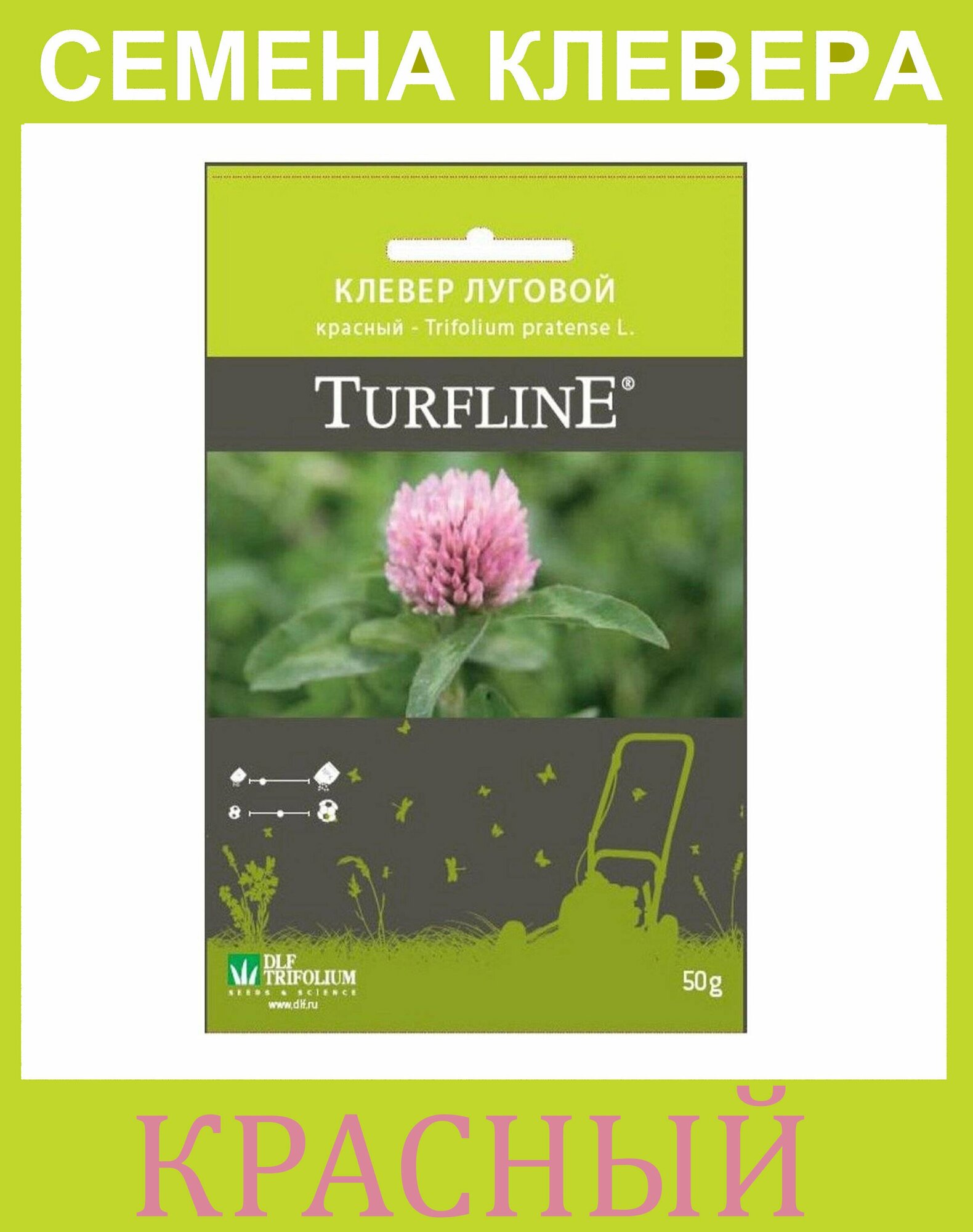 Семена сидерата Клевер (Красный Луговой) для газона Trifolium Protense L TURFLINE DLF 0.05 кг