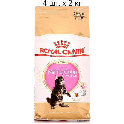 Сухой корм для котят Royal Canin Maine Coon Kitten, для котят породы мейн-кун, от 3 до 15 месяцев, 4 шт. х 2 кг