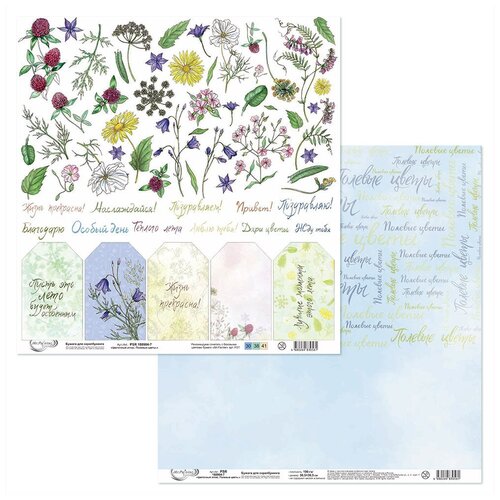 Бумага для скрапбукинга Mr. Painter PSR 180904 Цветочный атлас. Полевые цветы. 190 г/кв. м 30.5 x 30.5 см 7 лист для вырезания 58770619042