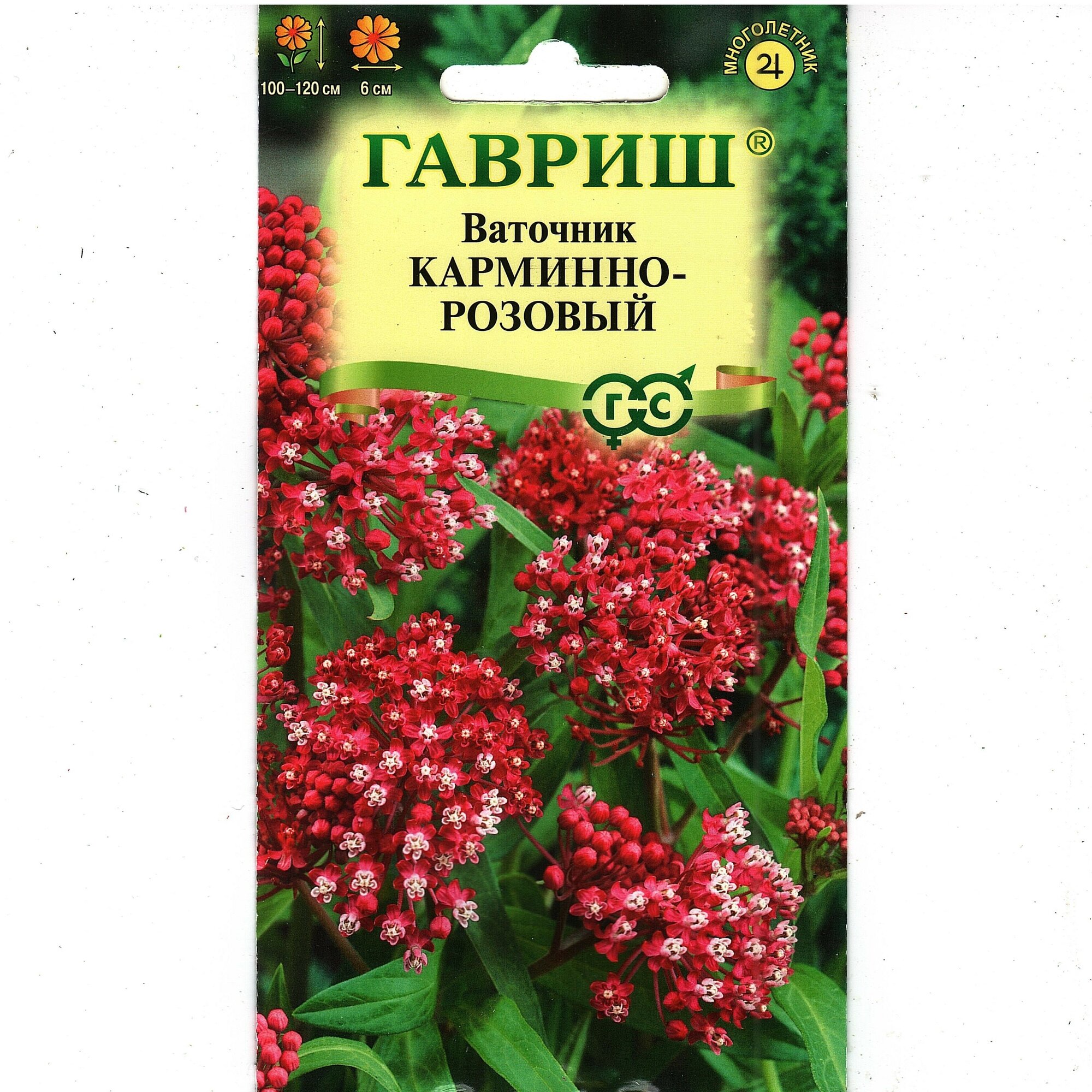 Ваточник Карминно-розовый многолетник ( 1 уп: 003 г )