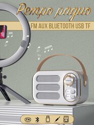 Ретро радиоприемник / беспроводная колонка FM AUX BLUETOOTH USB TF (белый)
