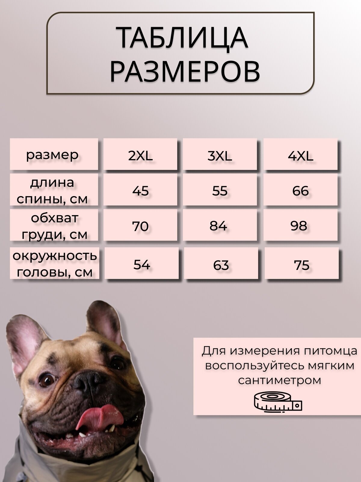 Одежда для собак / комбинезон / дождевик - фотография № 4