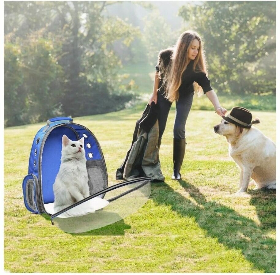 Рюкзак переноска для собак и кошек с иллюминатором / Ранец для животных с панорамным видом Morento синий - фотография № 2