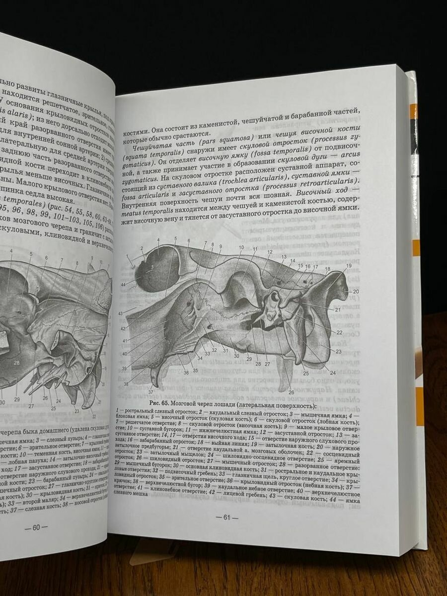 Анатомия животных.Практикум.Уч.пос - фото №11
