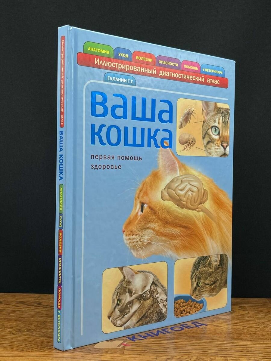 Книга Ваша кошка 2012