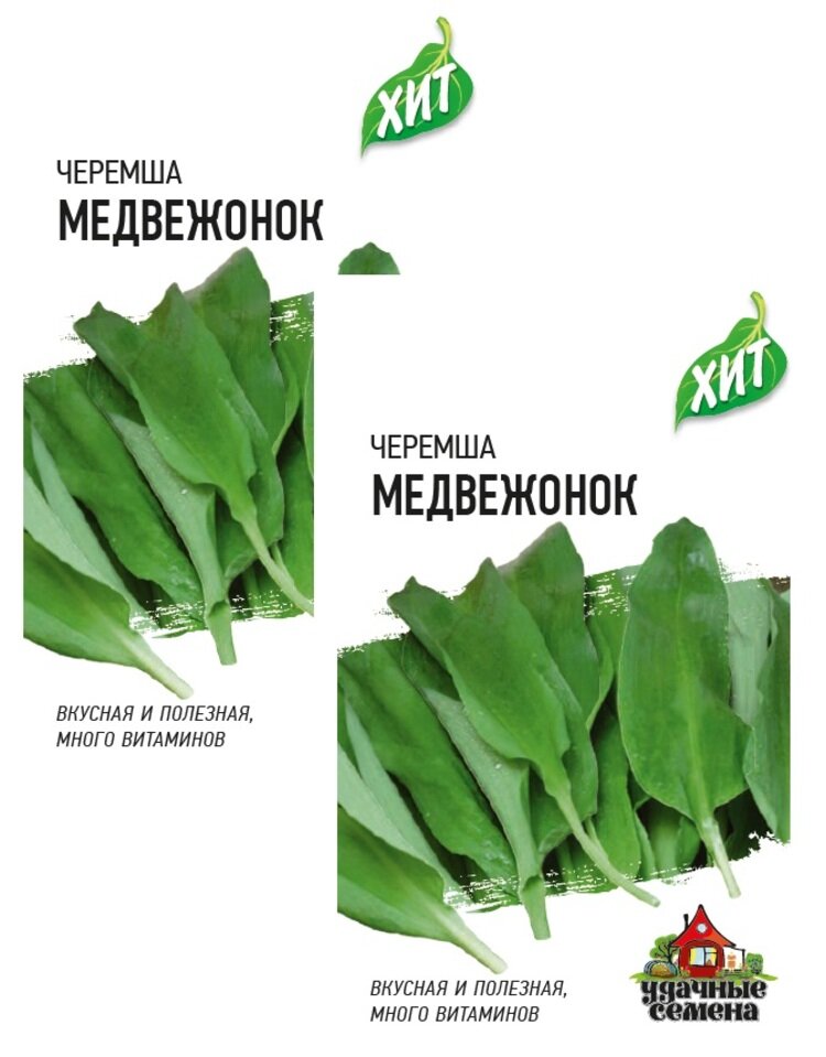 Семена Черемша Медвежонок (02 г) 2 пакета Агрофирма Гавриш