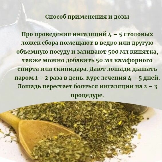 Картинки Сбор для ингаляций (0.5 кг) Биотех